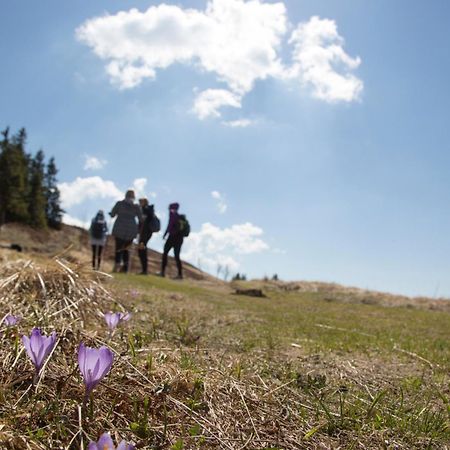 Lake Peak Apartments, Ribnisko Pohorje Ribnica na Pohorju Dış mekan fotoğraf