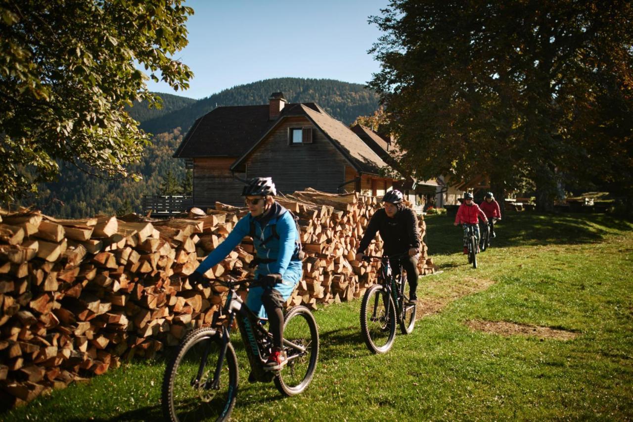 Lake Peak Apartments, Ribnisko Pohorje Ribnica na Pohorju Dış mekan fotoğraf