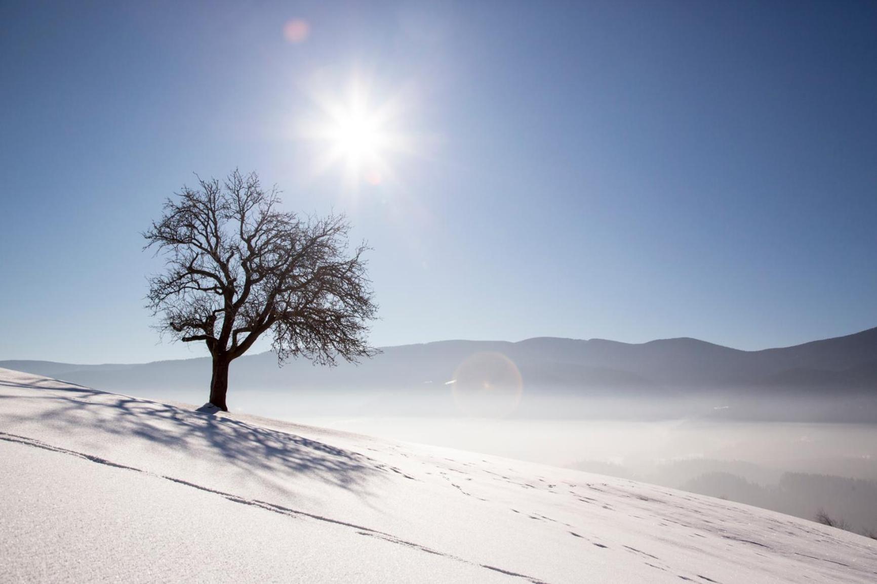 Lake Peak Apartments, Ribnisko Pohorje Ribnica na Pohorju Dış mekan fotoğraf