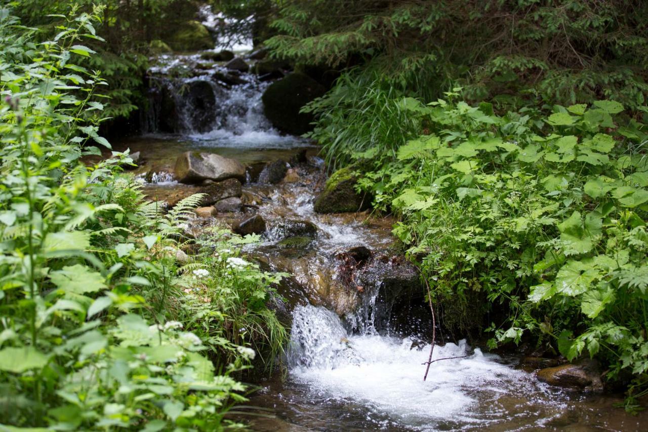 Lake Peak Apartments, Ribnisko Pohorje Ribnica na Pohorju Dış mekan fotoğraf