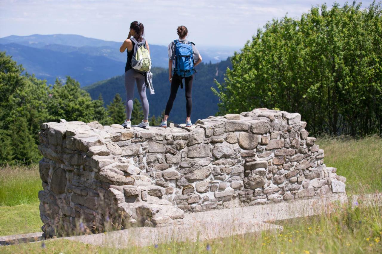 Lake Peak Apartments, Ribnisko Pohorje Ribnica na Pohorju Dış mekan fotoğraf