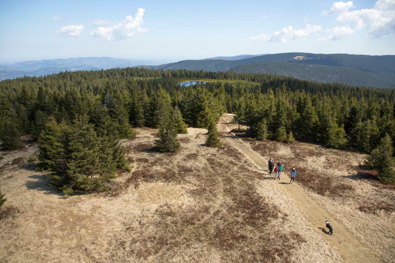 Lake Peak Apartments, Ribnisko Pohorje Ribnica na Pohorju Dış mekan fotoğraf