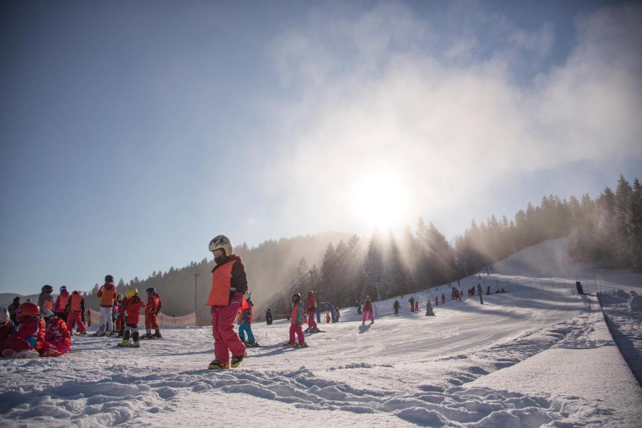 Lake Peak Apartments, Ribnisko Pohorje Ribnica na Pohorju Dış mekan fotoğraf
